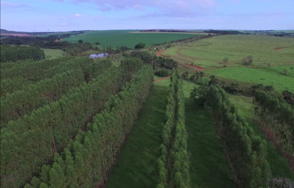 O campo é parte da solução para o desequilíbrio climático