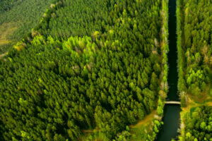 ‘Brasil é a maior potência ambiental do mundo’, diz Daoud