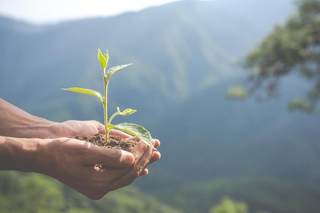 Grupo coleta assinaturas para aprovação de leis pelo meio ambiente