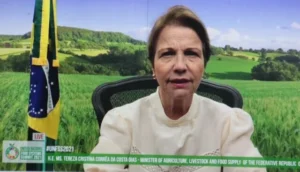 Ministra assume compromissos de sustentabilidade durante cúpula da ONU