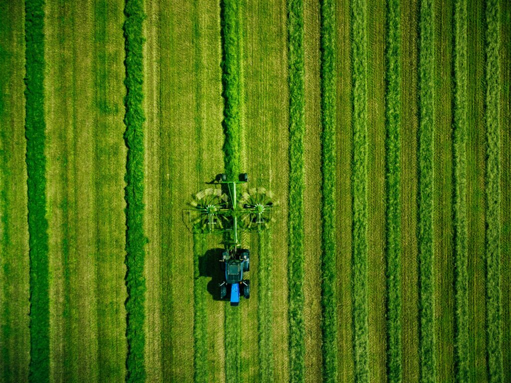 Chamada pública entre Brasil e Alemanha seleciona projetos de bioeconomia