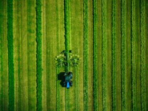 Chamada pública entre Brasil e Alemanha seleciona projetos de bioeconomia