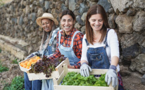 Dia Internacional da Mulher Rural: cresce a ocupação feminina no campo