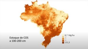 COP 26: Novo mapa revela quantidade de carbono nos solos do Brasil