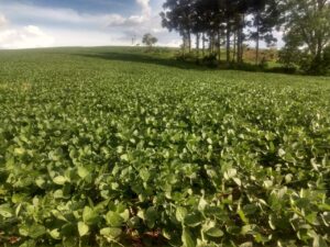 Comissão aprova proposta que regulamenta produção e comércio de insumos biológicos