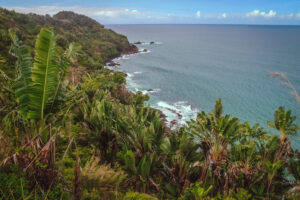 Mudanças climáticas podem podem causar fome em Madagascar