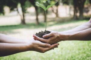 Comissão de Meio Ambiente lança concurso em sustentabilidade