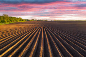 CNA: Brasil será maior agro do mundo em 2035