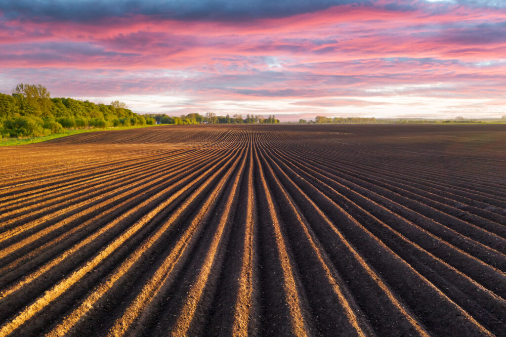 Mapa registra quatro defensivos agrícolas inéditos para uso dos agricultores