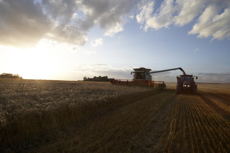 Valor da produção agropecuária de 2021 está estimado em R$ 1,113 trilhão