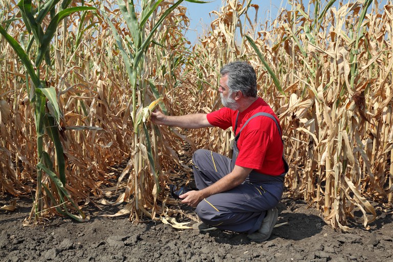 Agricultores receberam R$ 3,6 bilhões em indenizações de seguro rural entre janeiro e outubro de 2021