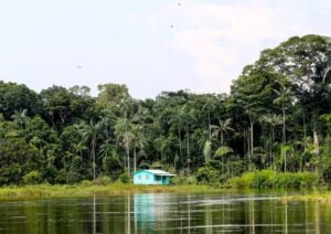 Entenda por que os alertas de desmatamento na Amazônia caíram quase 70% nesse mês