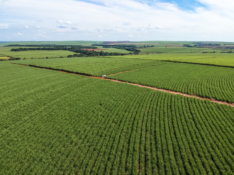 Serviço florestal e estados avançam na análise de dados dos cadastros rurais do país