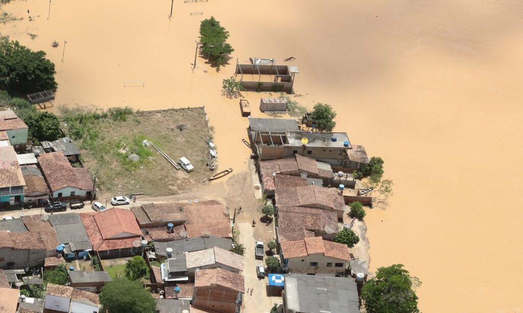 Pecuária, café e cacau têm prejuízos com as chuvas no sul da Bahia