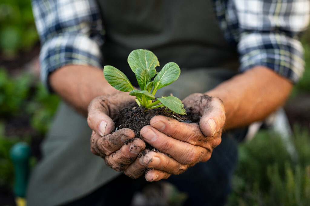 ONU lança o Entre Solos, iniciativa para fomentar o diálogo sobre o agro sustentável