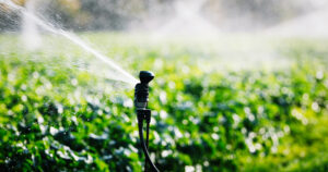 World Water Day: farmers defend sustainable water management