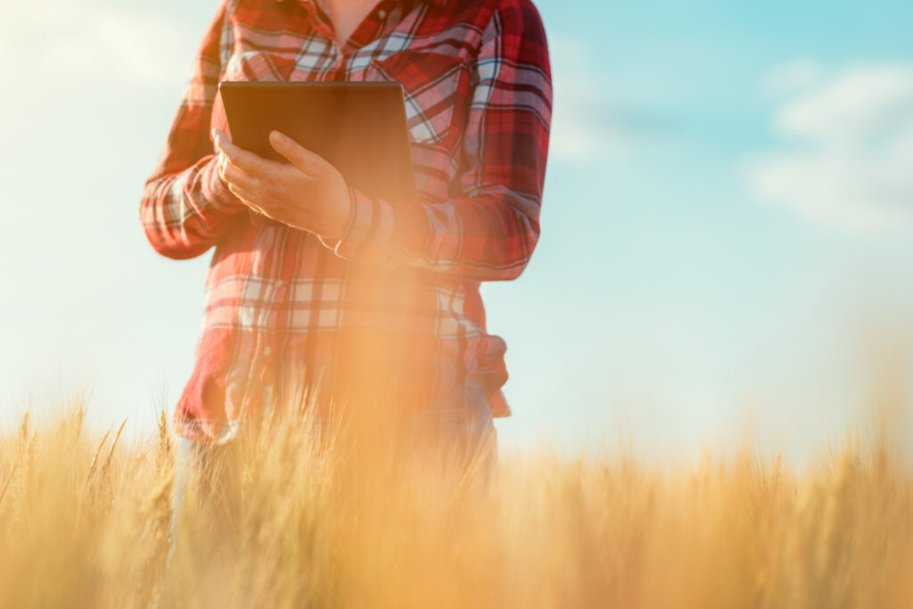 Portal oferece análise gratuita do comércio agrícola mundial