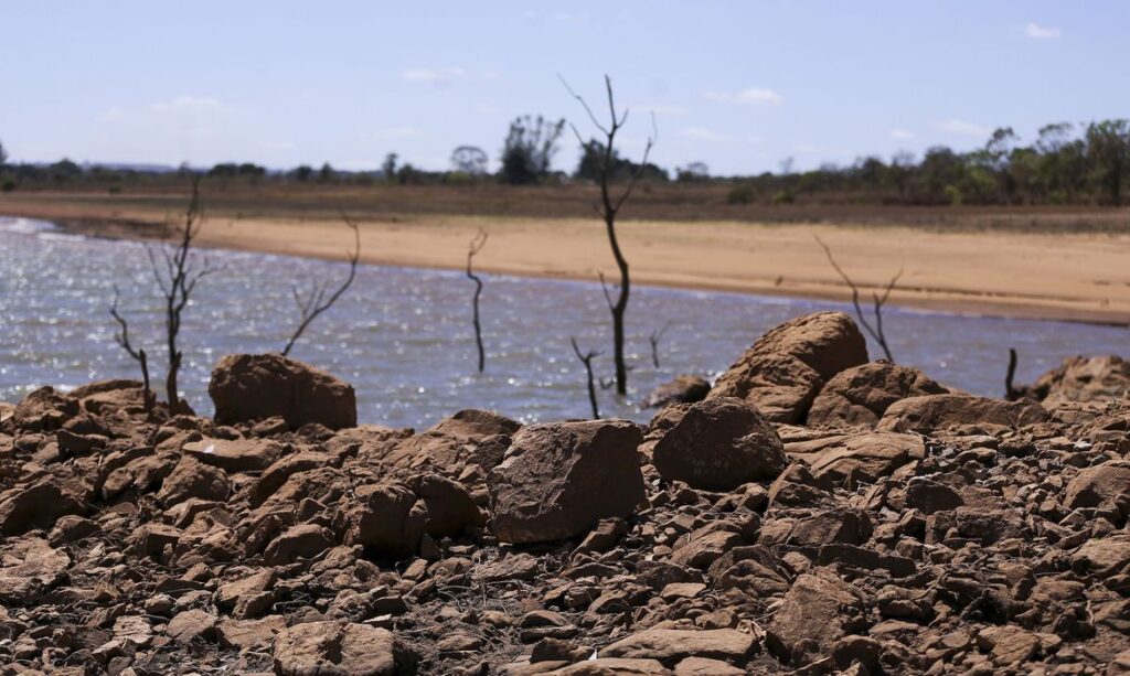 Estiagem causa prejuízos à agricultura e ameaça o abastecimento