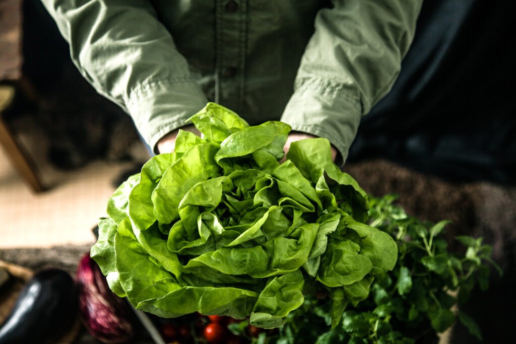 Escola de SP é selecionada para projeto de adaptação de agricultores às mudanças do clima