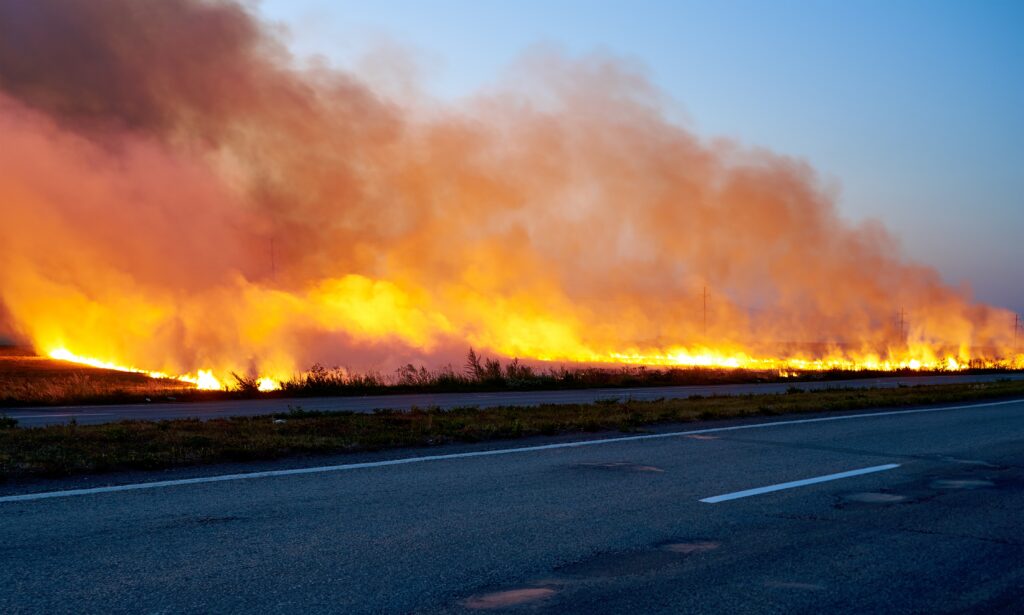 Tecnologia prevê incêndios florestais com até 10 dias de antecedência