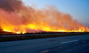 Tecnologia prevê incêndios florestais com até 10 dias de antecedência