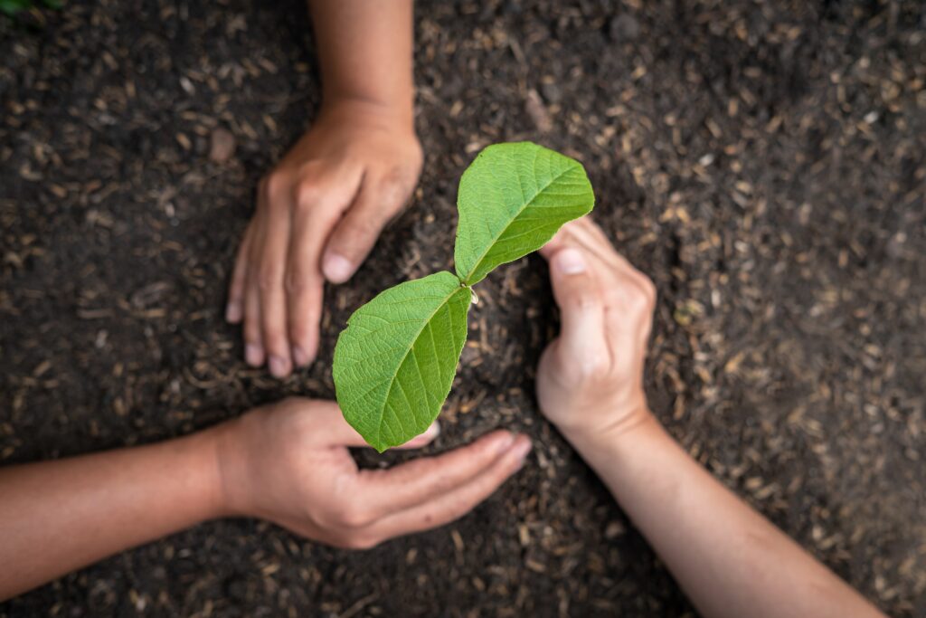 Áreas protegidas: preservam o meio ambiente e dão lucro ao produtor