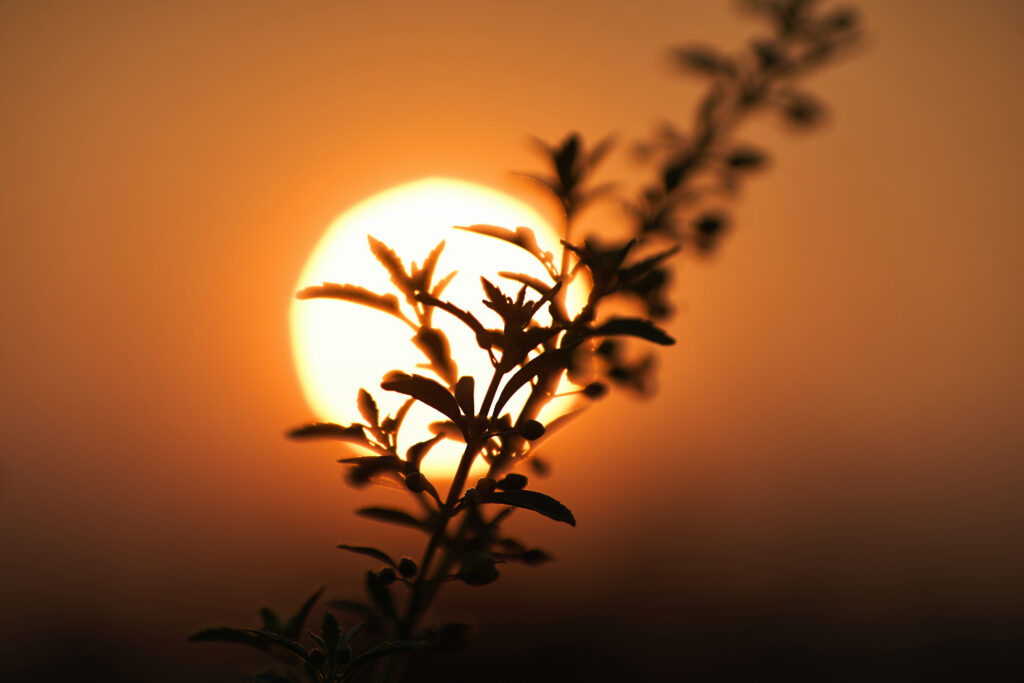 RS deve sofrer instabilidade climática com onda de calor incomum