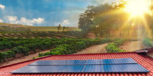 Redução de gastos e geração de energia limpa no setor rural