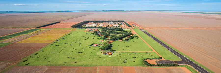 Fazenda em MT aumenta área produtiva com ajuda de pesquisa aplicada à sustentabilidade