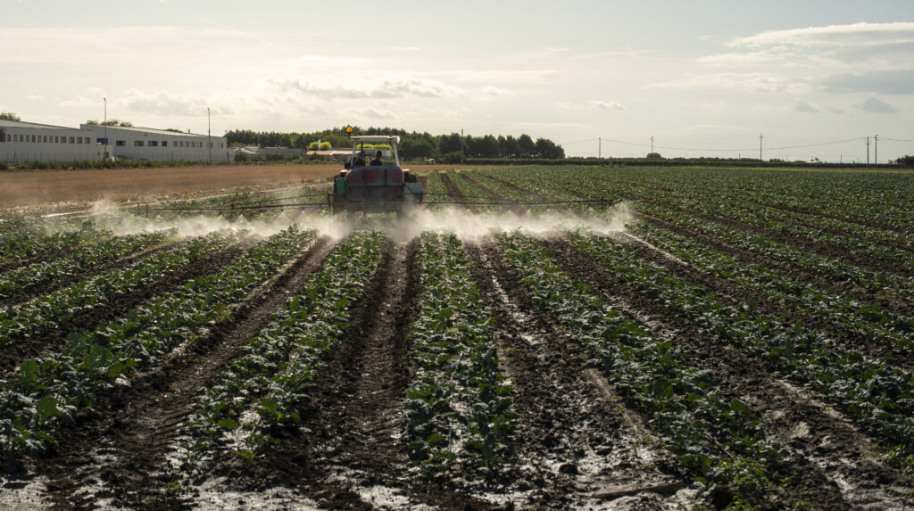 Fazenda sustentável economiza R$ 2 milhões com agricultura digital