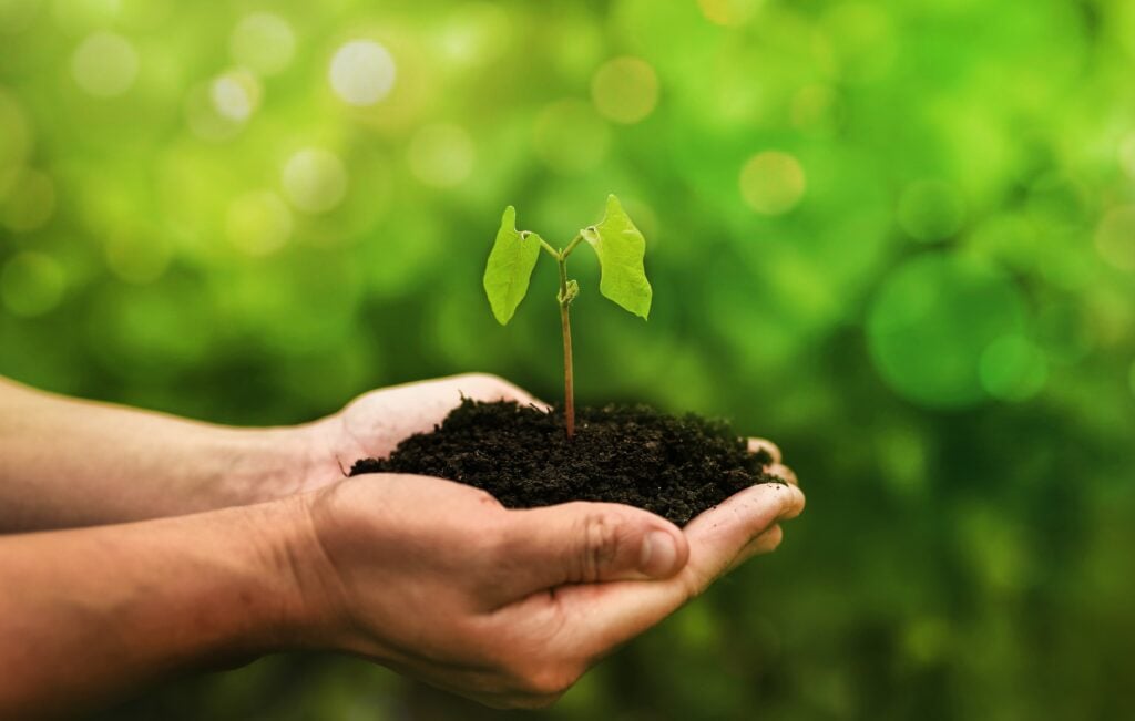 Agro está à frente dos demais setores na conservação ambiental