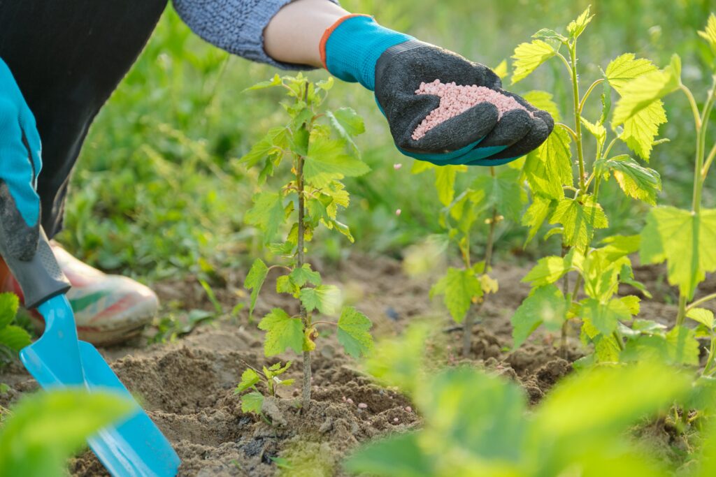 JBS inicia produção de fertilizantes orgânicos