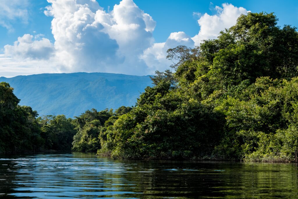 Amazônia, Fundo