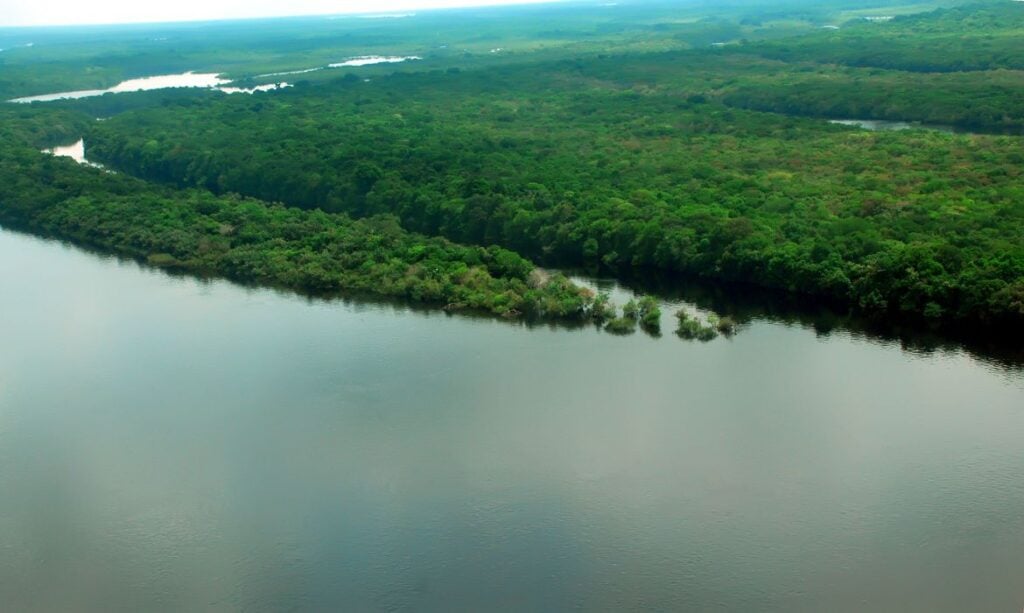 Governo lança operação contra o desmatamento na Amazônia