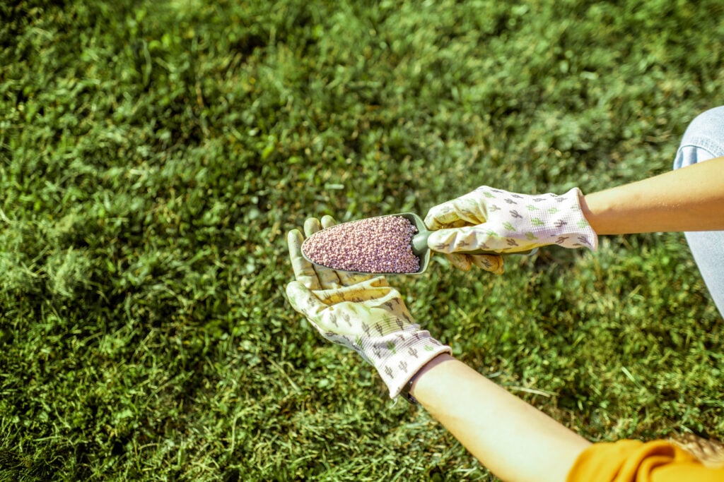 ILP reduz necessidade do uso de fertilizantes