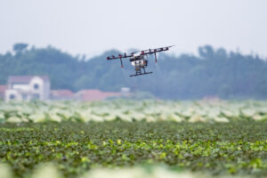 Drones se tornam indispensáveis no aumento de eficiência da pecuária