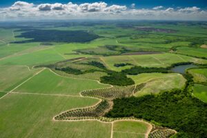 Plano nacional irá agilizar a implementação do Código Florestal nas fazendas