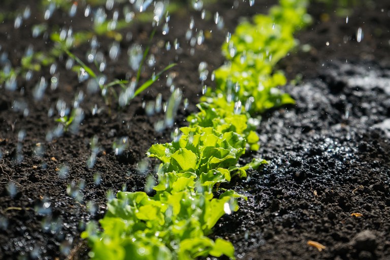 Programa de Zoneamento Agrícola de Risco Climático define calendário para 2022