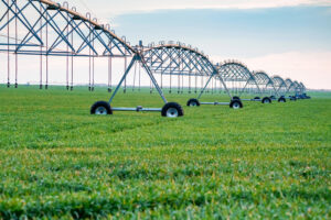 A irrigação é uma tecnologia sustentável?