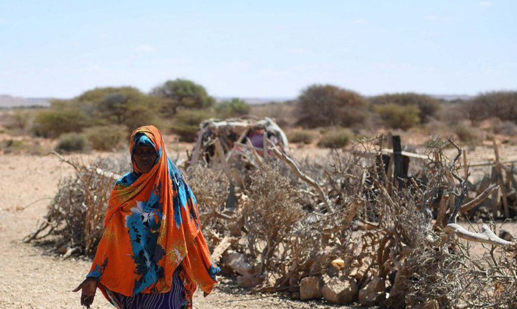 África Ocidental enfrenta maior crise alimentar da última década