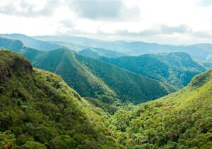 Mata Atlântica