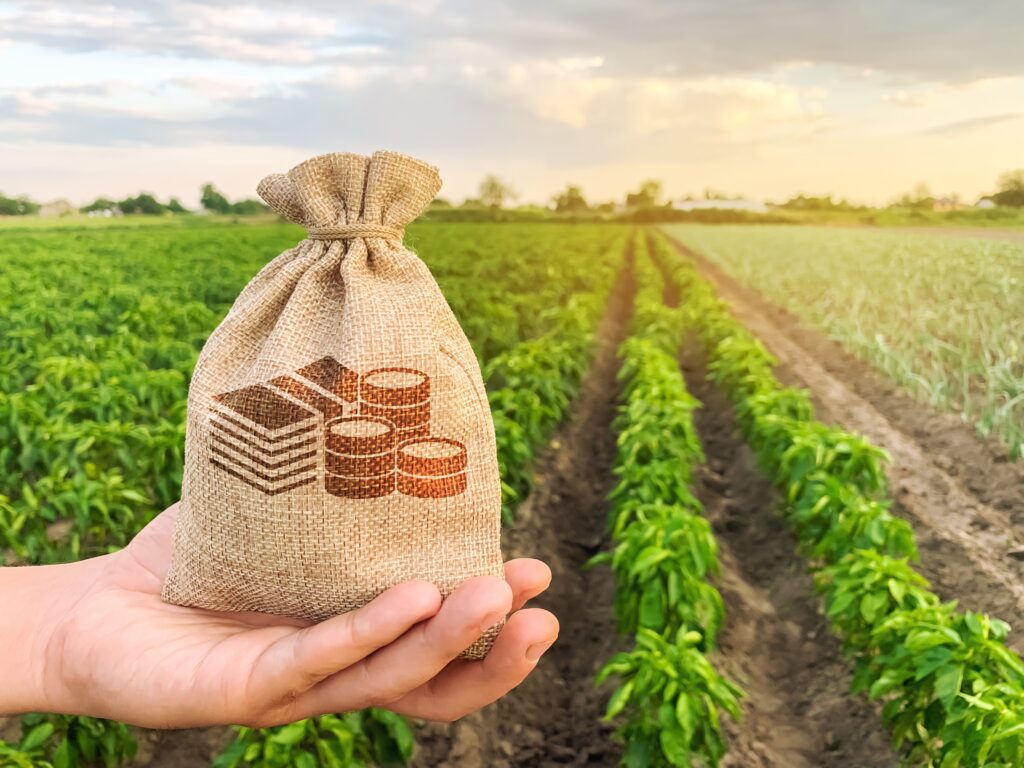 Subsídios agrícolas: Brasil x mundo