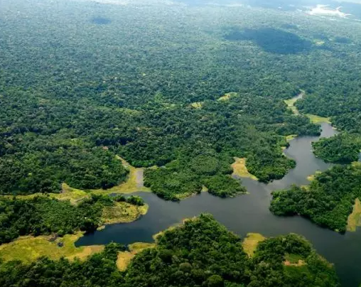 amazonia, fundo amazônia