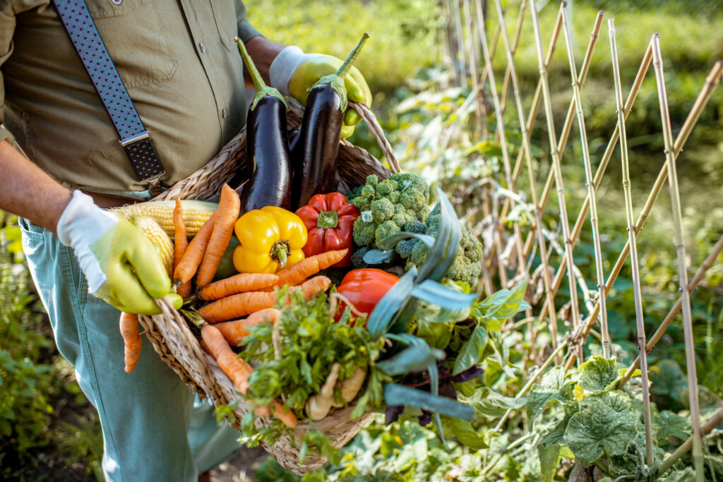 Consumo de alimentos locais diminui emissões e fortalece economia regional