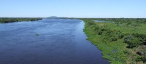 Conheça a produção de carne orgânica e sustentável no Pantanal