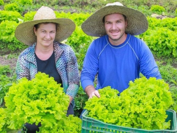 Agricultores encontram alternativas sustentáveis ao cultivo de tabaco