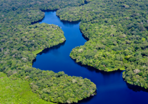 Governo publica decreto que cria mercado regulado brasileiro de carbono