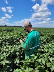 Fazenda reduz defensivos em 90% com agricultura de precisão