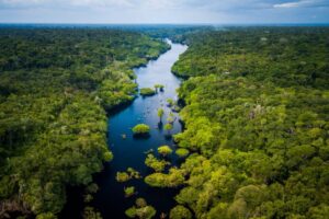 Floresta+ Amazônia recebe inscrições de projetos sustentáveis