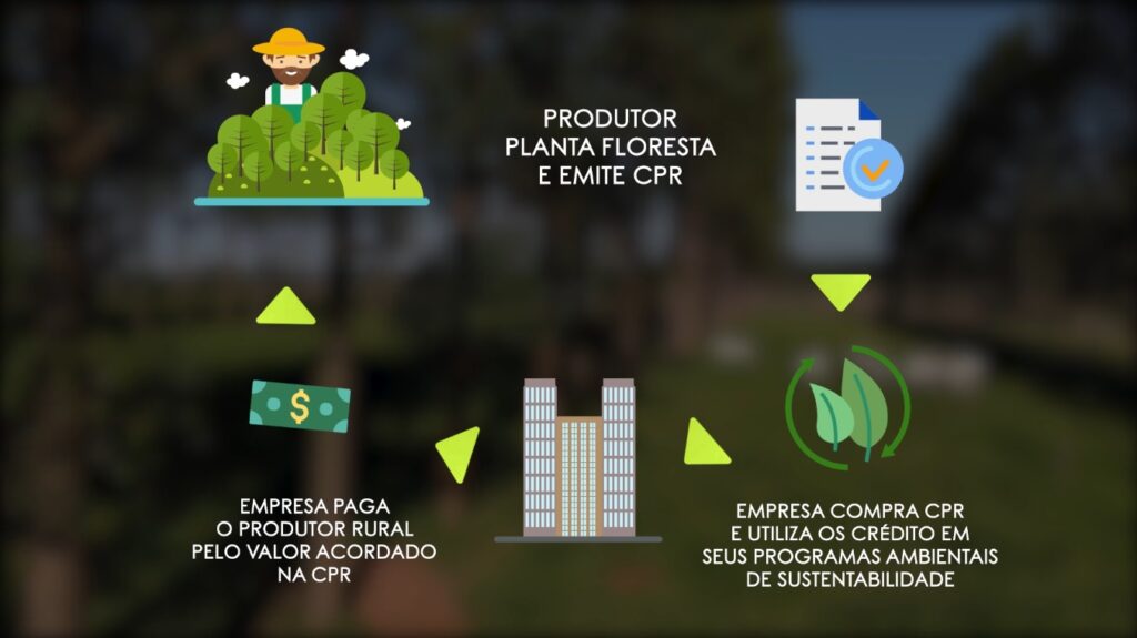 Descrição De Como Funciona A Cpr Verde